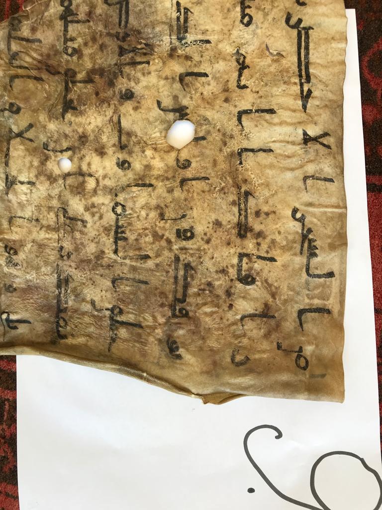 PHOTO-2025-10-31-20-46-26 3