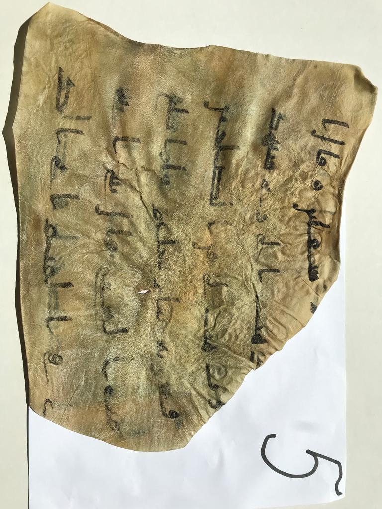 PHOTO-2025-10-31-20-46-27 2